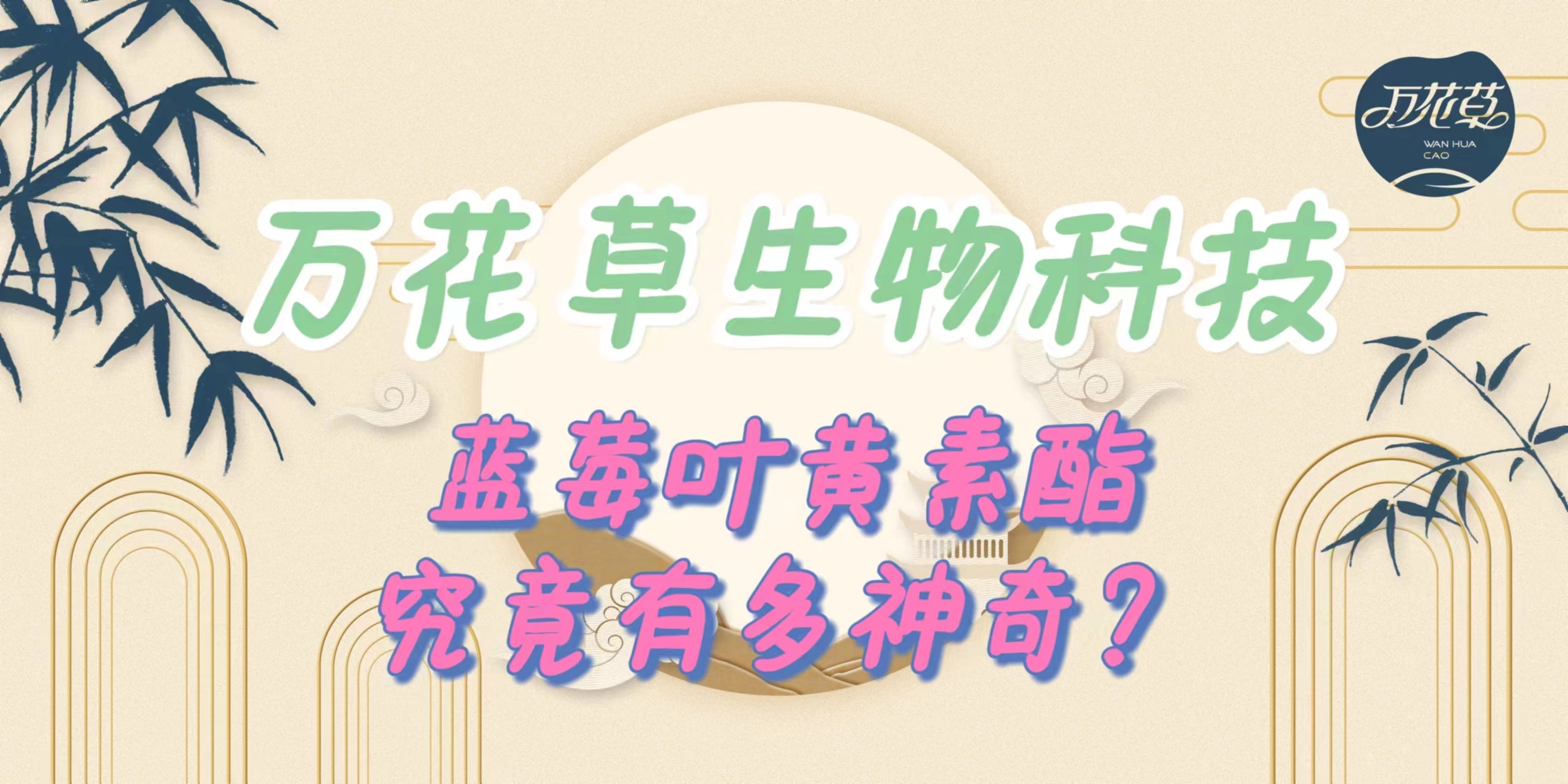 升級配方，重磅出擊，萬花草藍莓葉黃素酯究竟有多神奇？